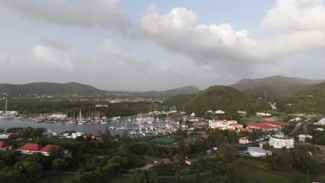 aerial view of a marina in a tropical island