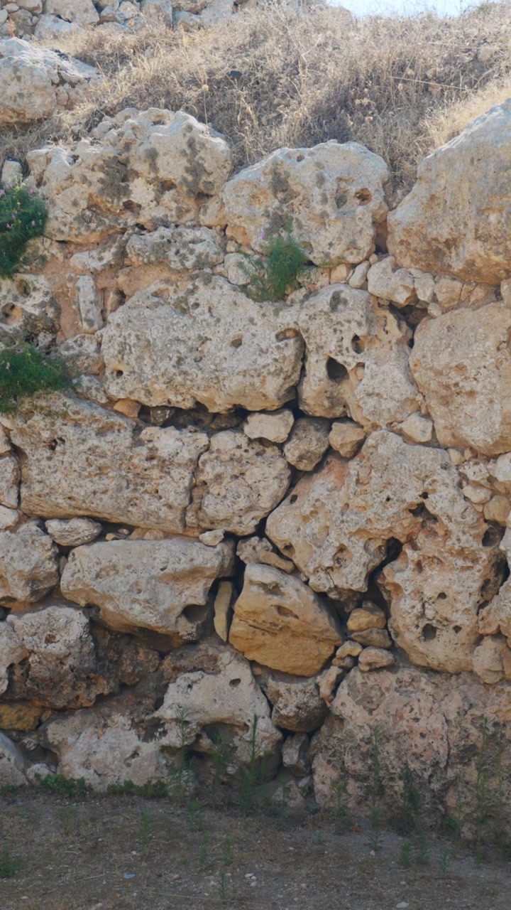 Video verticale che scorre lungo un antico muro di pietra consumato dal tempo, mostrando texture ruvide e vegetazione rada sotto la luce naturale del sole. Perfetto per dispositivi mobili e social media
