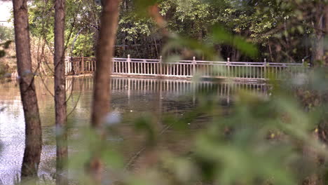 puente sobre la fuente de agua de la destilería de whisky diageo en yunnan, china