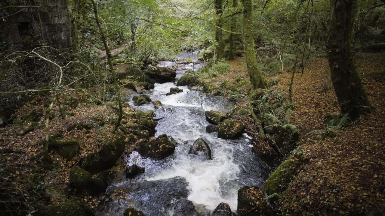 River Kennall In The Picturesque Woodland Kennall Vale In Cornwall, England - tilt up
