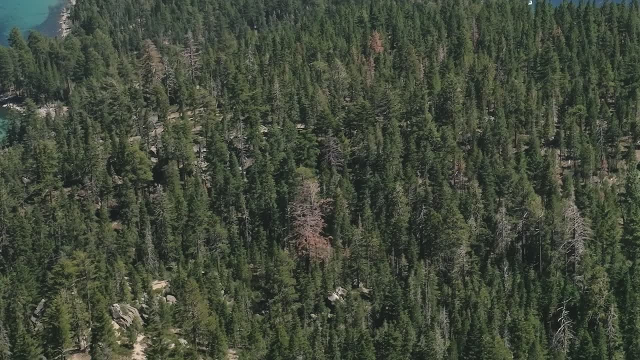 Visita il Lago Tahoe per fare escursioni, andare in kayak e goderti la natura vicino alla California