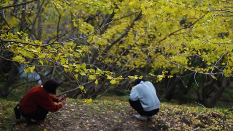 Incline-Hacia-Abajo-A-Una-Pareja-Japonesa-Tomando-Fotografías-En-Ginkgo-Grove-En-Tarumizu,-Japón