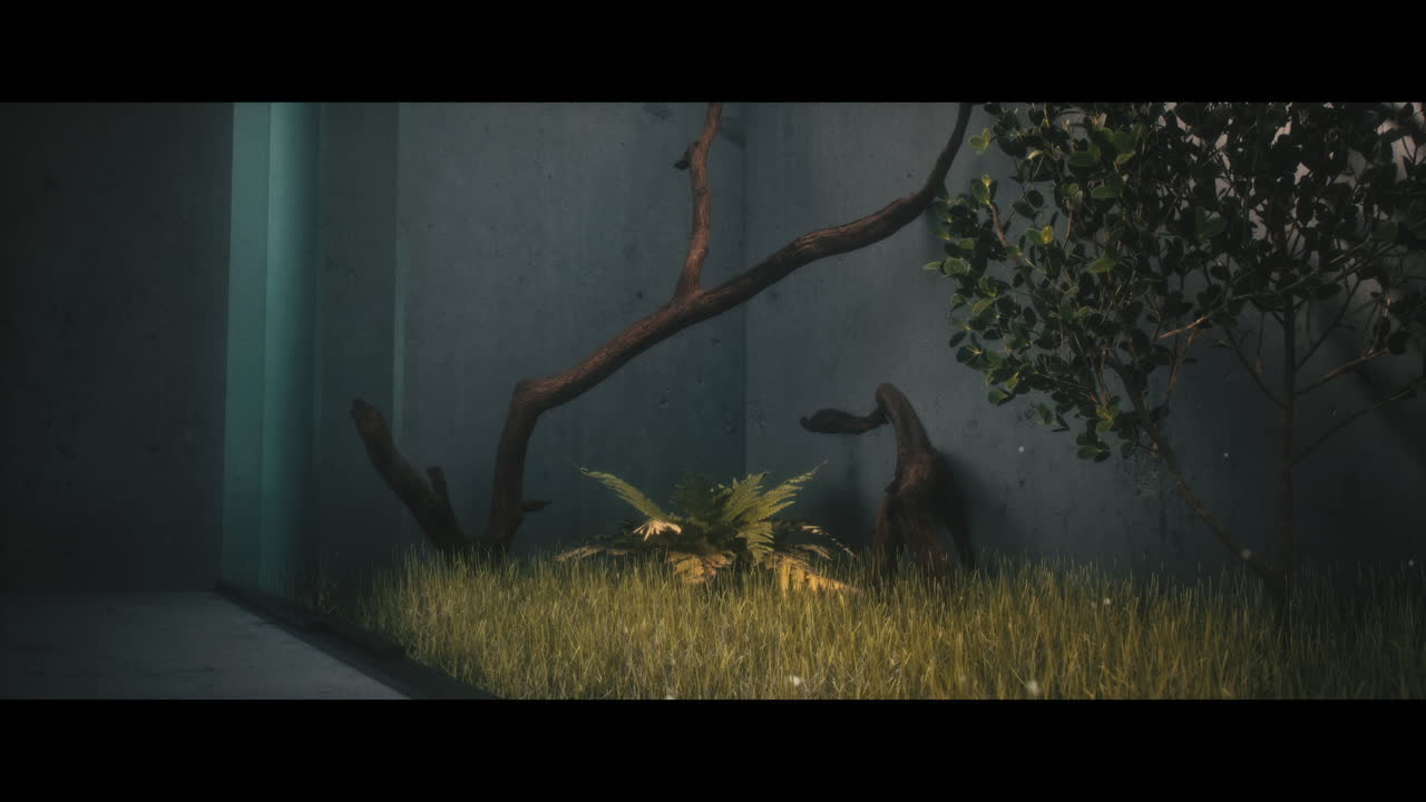 Modern Minimalist Interior with Plants and Driftwood