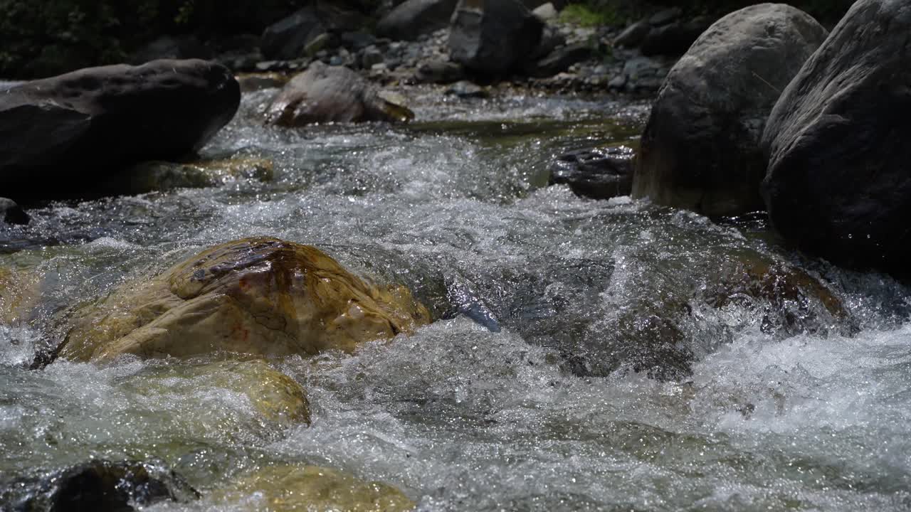 Water is flowing through a mountain torrential river.