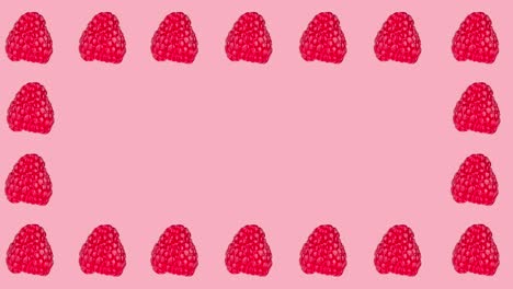 frame with many fresh ripe raspberry animated on a pink background close-up. seamless looping of realistic 3d food. minimal stop motion design art with copy space