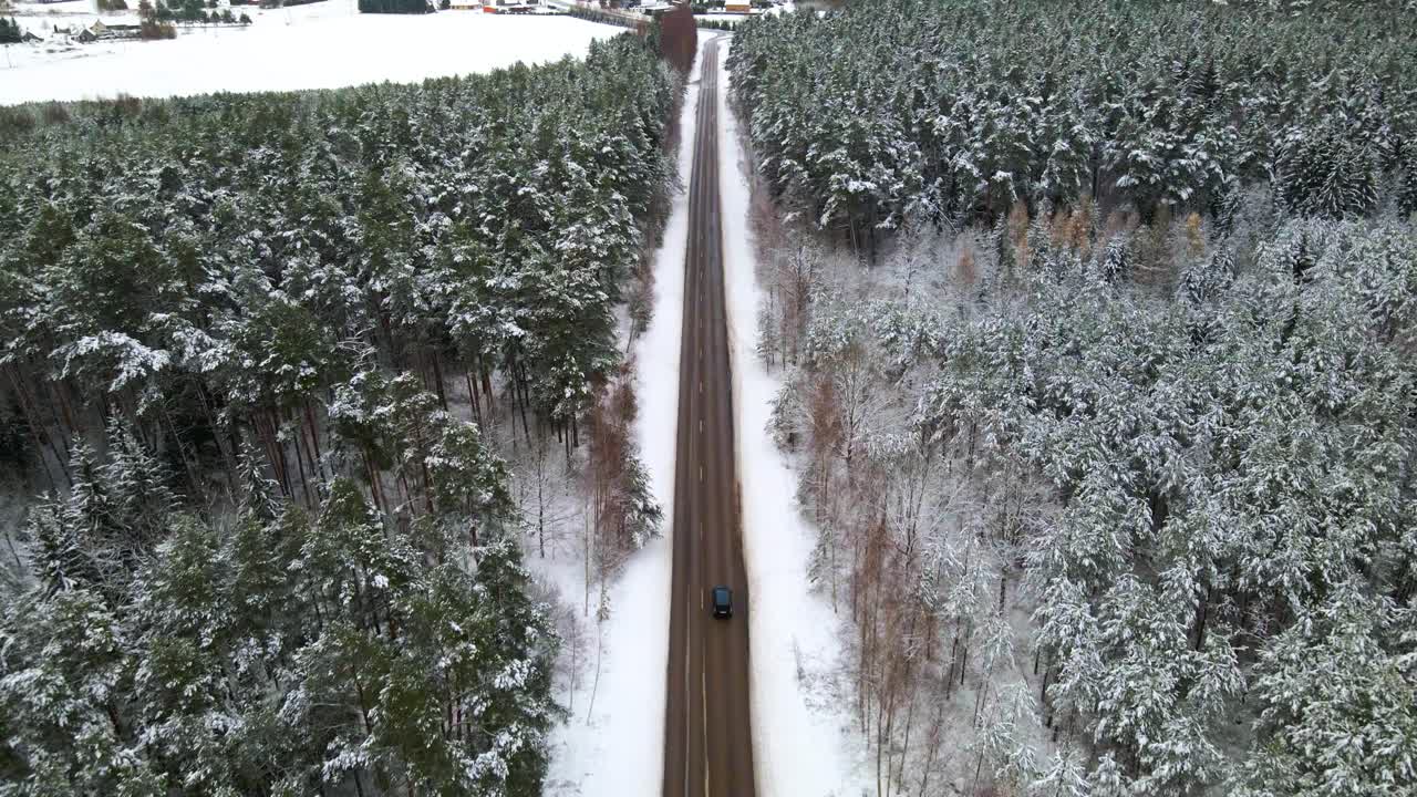 흐린 서리가 내린 겨울날 눈 덮인 숲 소나무로 둘러싸인 좁은 아스팔트 도로의 드론 샷