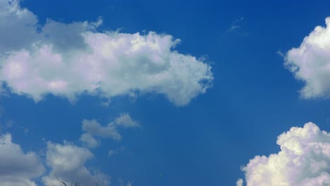 Time-lapse-on-blue-sky-in-a-beautiful-day