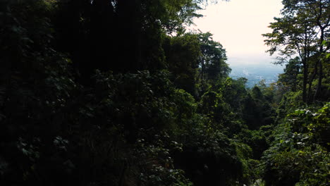 High-angle-shot-through-green-vietnamese-jungle-in-Vietnamese-Highlands-on-a-cloudy-day