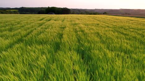 Agricultural-farm-bathed-in-warm,-golden-hues-of-a-breathtaking-sunset