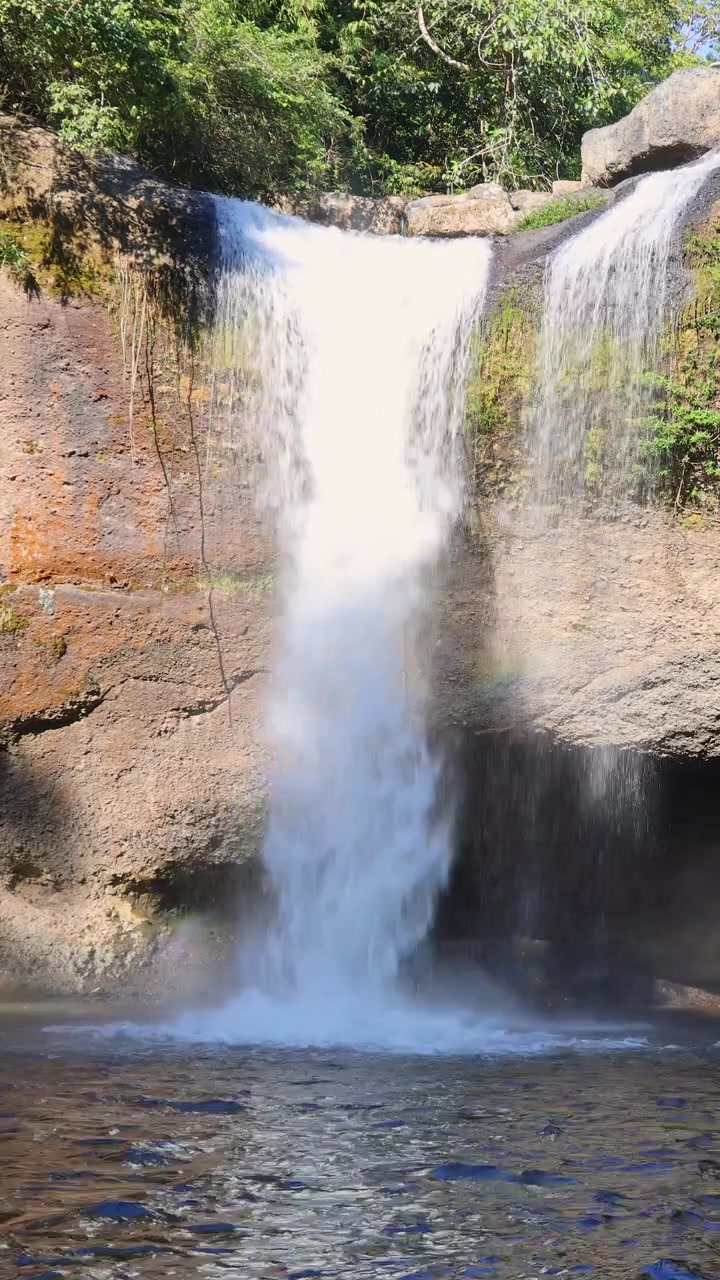Una cascata costante si riversa sulle rocce in un ruscello, circondata da una foresta lussureggiante sotto la luminosa luce del giorno.