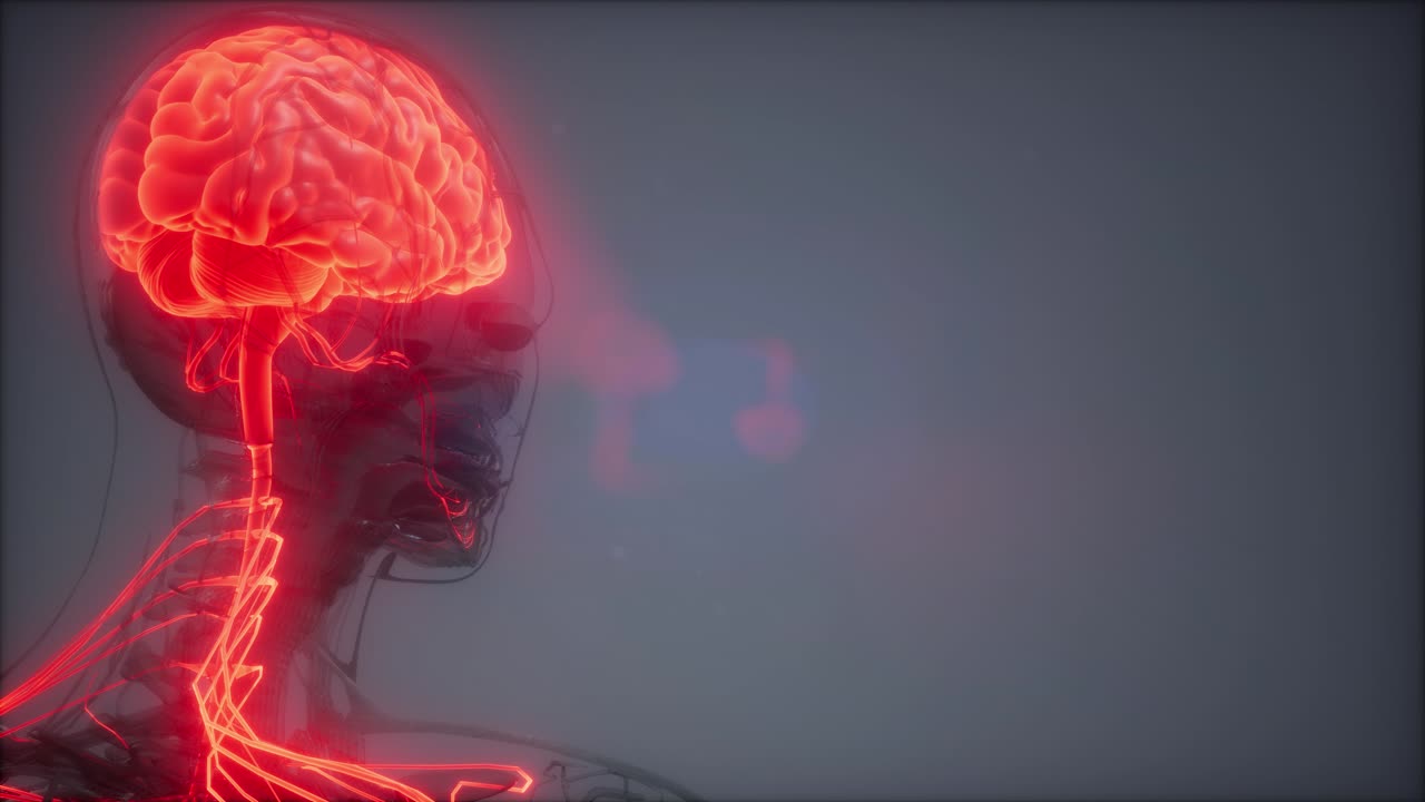 인간 뇌 방사선 검사