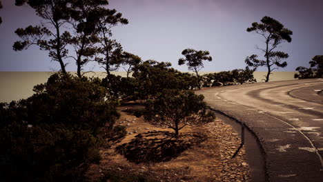 scenic coastal road with winding turns and lush greenery under clear sky
