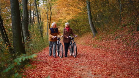elderly couple walks bikes through the park in the autumn