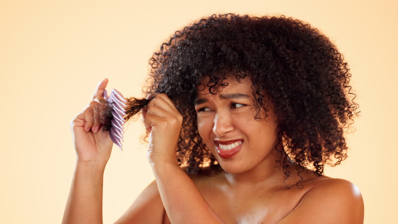 Cabelo, pente ou embaraçado e mulher afro em estúdio