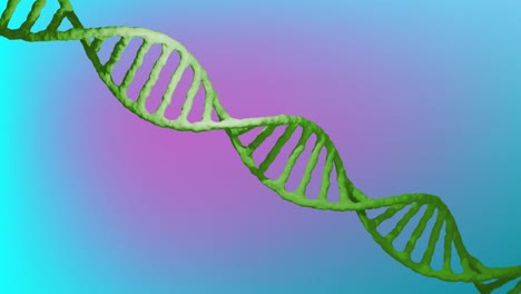 Animation-Eines-DNA-Strangs,-Der-Sich-Auf-Blauem-Bis-Rosa-Hintergrund-Dreht