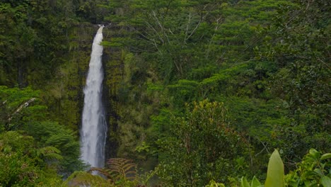 Cascada-Alta-En-Medio-De-Una-Exuberante-Jungla-Verde