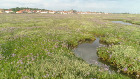 disparo de drones bajos sobre marismas con hierba verde y flores moradas y charcos con pozos al lado del mar ciudad costera en la distancia al norte de norfolk, costa este del reino unido