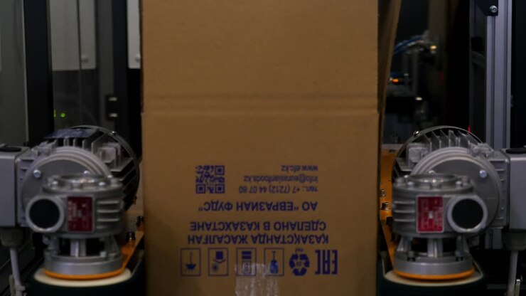Industrial Packaging Process