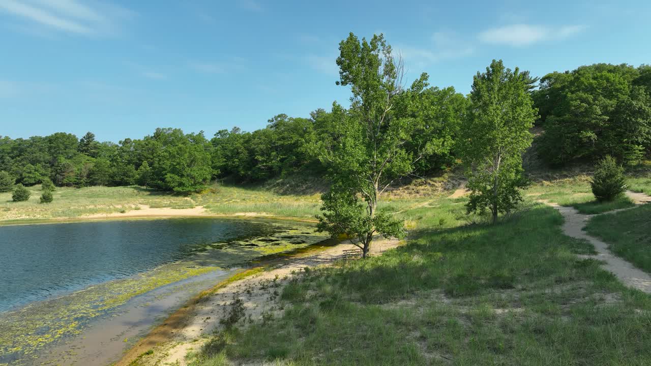 Fioritura di alghe lungo le rive di un piccolo lago interno.