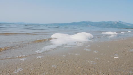 seafoam washed up or blown onto a beach