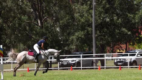 horse and rider completing a show jumping course