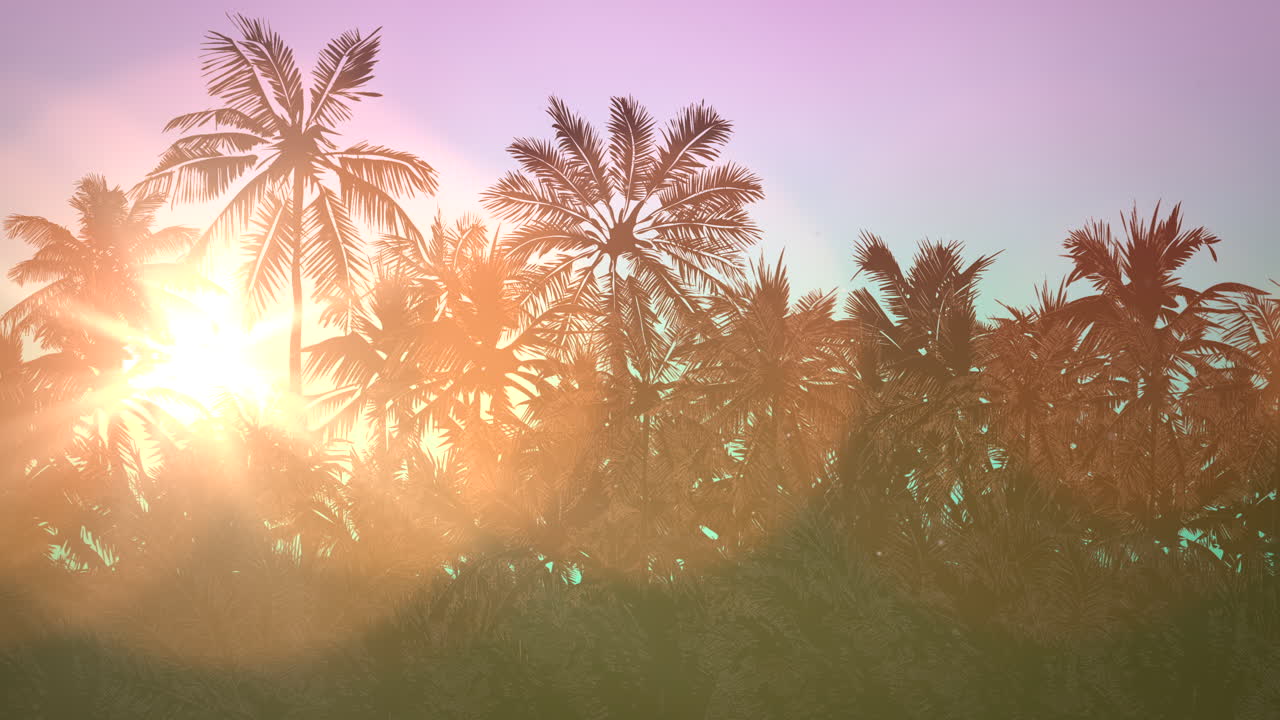 vista panorámica del paisaje tropical con palmeras y puesta de sol 12