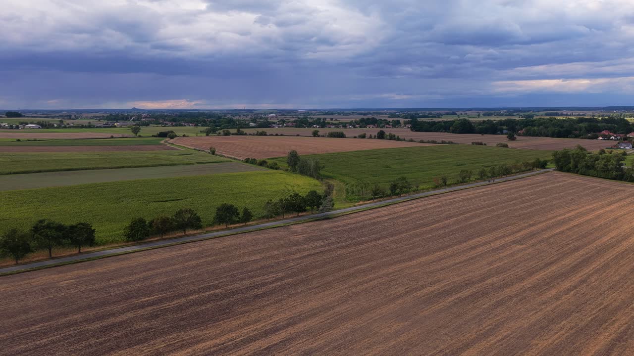 Straße mit Baumallee, die durch Felder führt. Fruchtbares Ackerland, von Sonnenstrahlen beleuchtet, aus der Drohnenperspektive. Tschechien, Region Mähren.