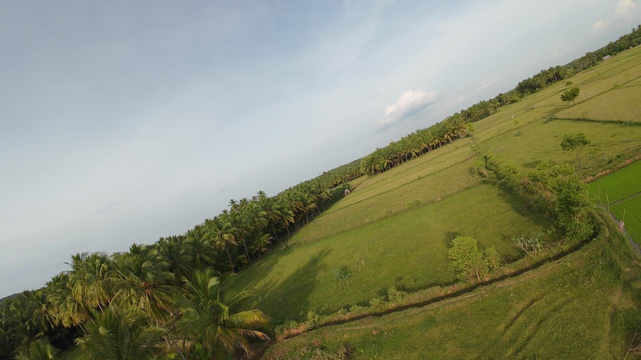 Pemandangan ladang desa yang indah di Sivagangai dikelilingi oleh hijaunya alam.