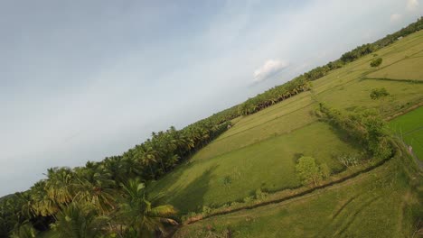 scenic village fields in sivagangai surrounded by natural greenery