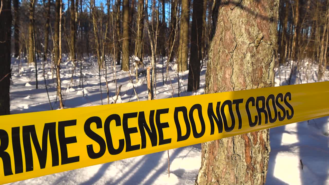 Close view along crime scene tape stretched across a sunny forest wooded area with falling snow, winter snowy landscape and sunlight. Active accident site investigation and restricted access outdoors