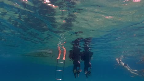 slow motion under water scene of human legs and feet in sea water beneath surface protruding from motorboat ladder