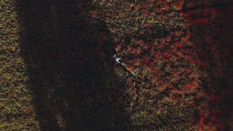 Drone-view-of-people-on-rural-field