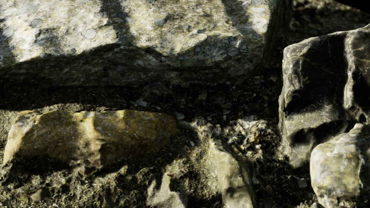 Exploring rocky textures in a sunlit coastal environment at midday