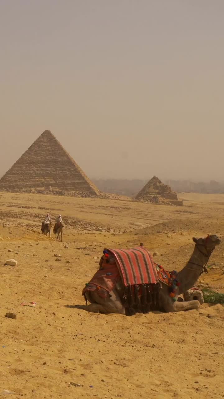 Giro in cammello nel deserto egiziano vicino alla Grande Piramide