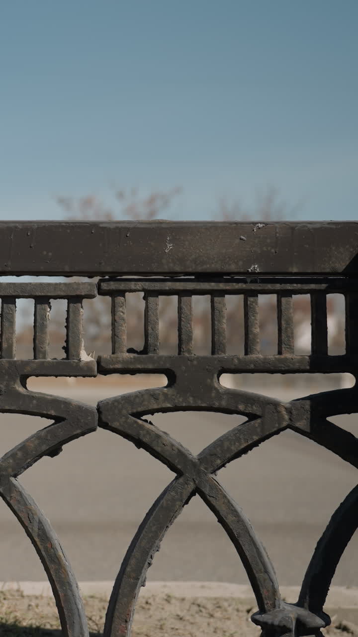 vista cercana de una valla metálica decorativa con patrones detallados, puesta contra un edificio borroso, con coches pasando