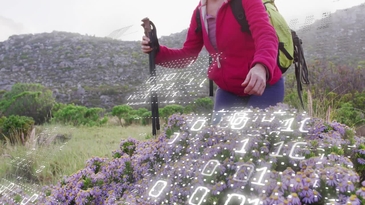 Escursionista donna che pianta il bastone da trekking inginocchiata tra margherite viola, con una sovrapposizione tecnologica che traccia i petali raccogliendo dati