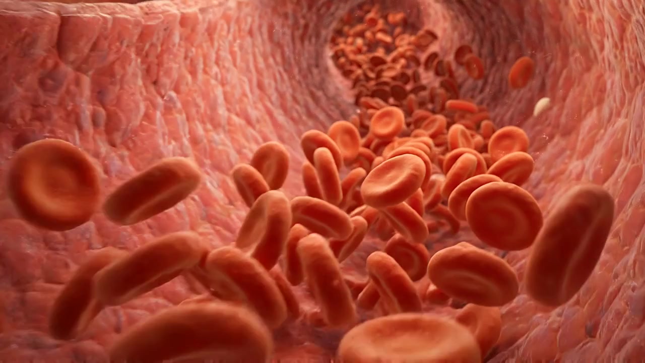 Red blood cells circulating inside textured artery in detailed medical visualization