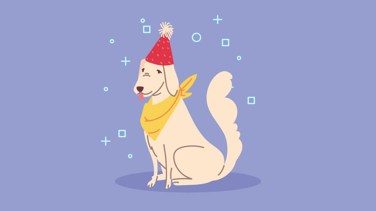 perro lindo con animación de sombrero de cumpleaños