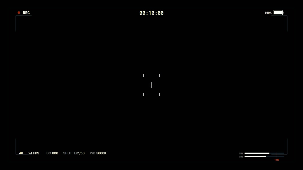 Digital Camera Viewfinder Interface Overlay