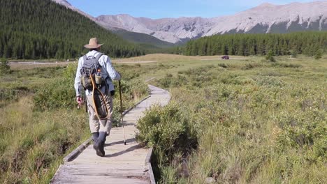 satisfecho, el solitario pescador con mosca regresa al vehículo después de un día exitoso en un arroyo en las montañas rocosas canadienses capturando truchas nativas de garganta occidental