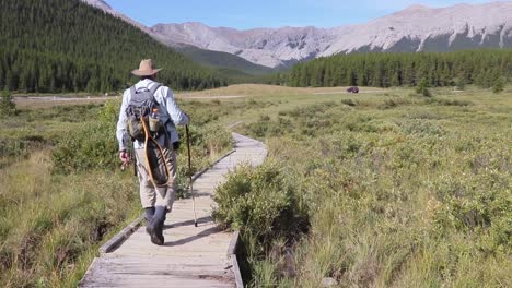 satisfied, solitary fly fisherman returns to vehicle after a successful day on a creek in the canadian rockies catching native westslope cutthroat trout