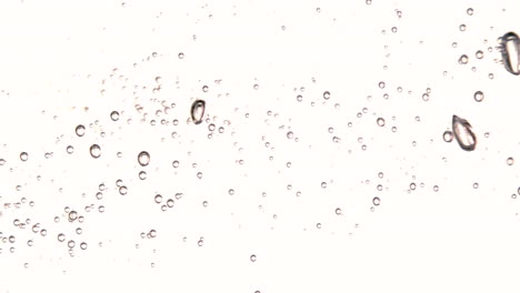 Bubbles-floating-in-water-on-white-background