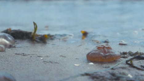 slow motion footage of gentle sea waves roll onto the beach in summer