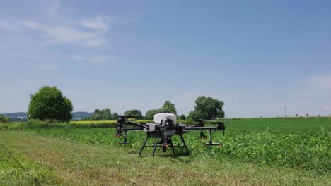 las hélices de los drones agrícolas comienzan a girar y despegan cerca de las tierras de cultivo verdes