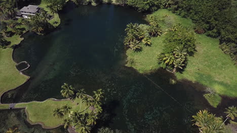 Big-island-pond-lined-with-palm-trees-leading-to-ocean-in-Hawaii-with-deep-blue-colors