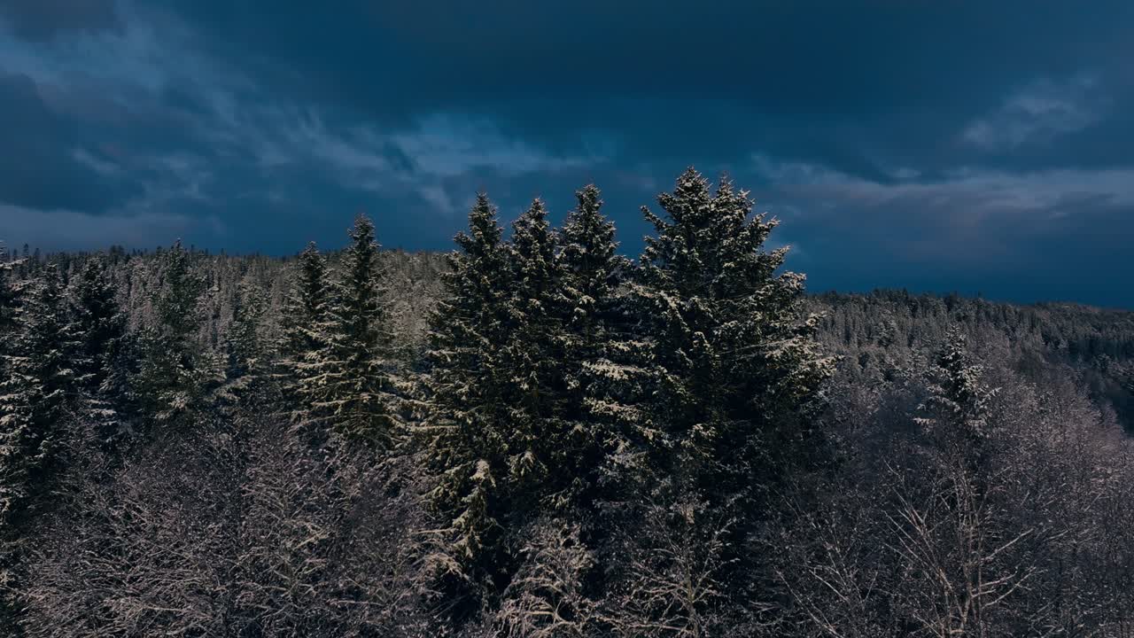 Paesaggio forestale innevato contro un cielo coperto a Indre Fosen, Norvegia - Ripresa aerea in allontanamento