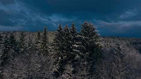 snowy forest landscape against overcast sky in indre fosen, norway - aerial pullback