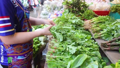 person organizing leafy vegetables at a market stall