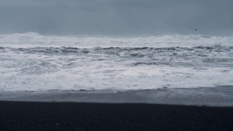 stunning stormy ocean waves of atlantic reaching black sandy beach on iceland island - flock of birds flying over splashing water -static