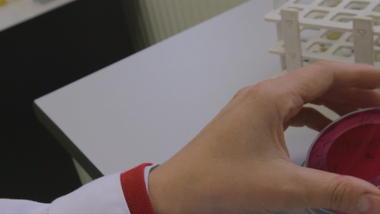 en un laboratorio de ciencias, un científico aplica una solución reactiva en una pipeta y luego la inserta en un tubo de ensayo